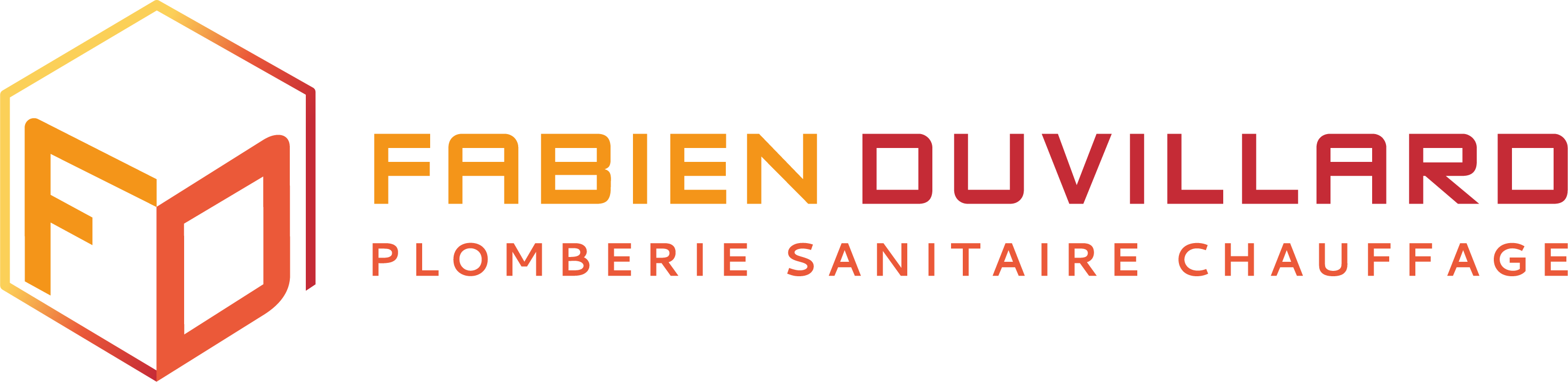 logo fabien duvillard